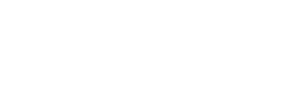 Logo Alpha Interior wit